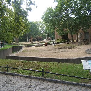 Alpaca and Elephant enclosures