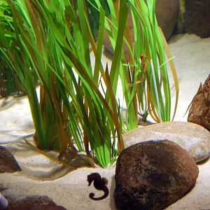 Restless Planet Exhibits