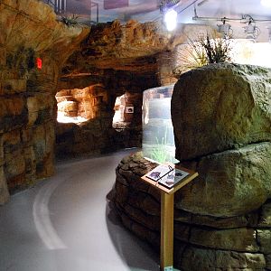 Restless Planet Exhibits