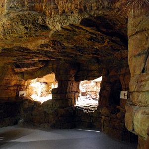 Restless Planet Exhibits