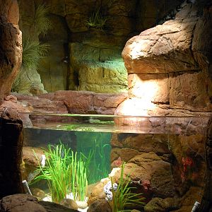 Restless Planet Exhibits