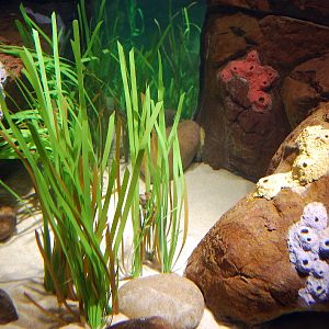 Restless Planet Exhibits