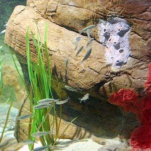 Restless Planet Exhibits