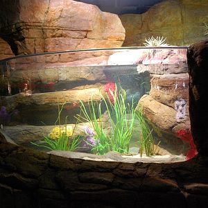 Restless Planet Exhibits