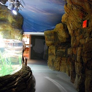 Restless Planet Exhibits