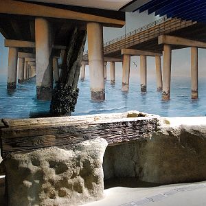 Restless Planet Exhibits