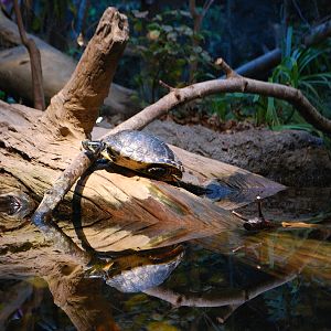 Restless Planet Exhibits