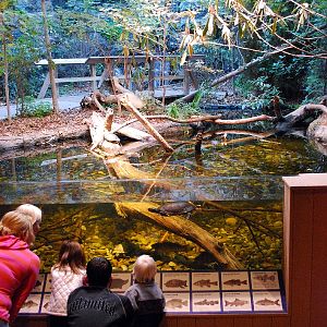 Restless Planet Exhibits