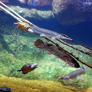 Restless Planet Exhibits