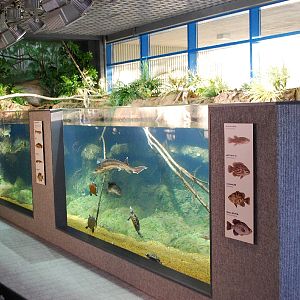 Restless Planet Exhibits