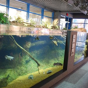 Restless Planet Exhibits