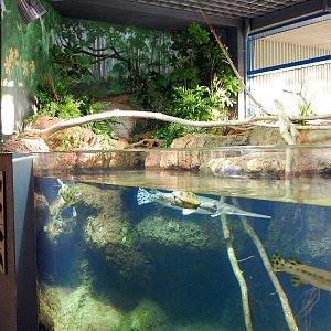 Restless Planet Exhibits