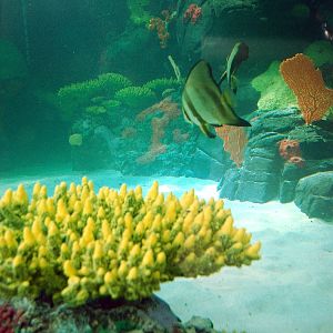 Restless Planet Exhibits