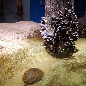 Restless Planet Exhibits