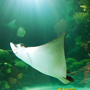 Restless Planet Exhibits