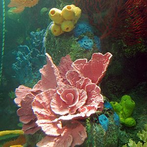 Restless Planet Exhibits