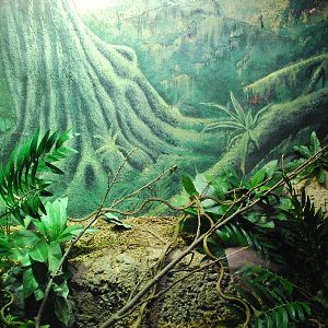 Restless Planet Exhibits