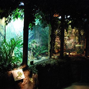 Restless Planet Exhibits