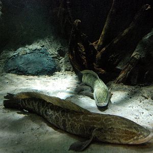 Restless Planet Exhibits