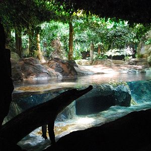 Restless Planet Exhibits