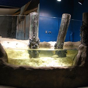 Restless Planet Exhibits
