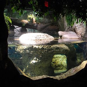 Restless Planet Exhibits