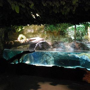 Restless Planet Exhibits