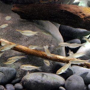 Restless Planet Exhibits