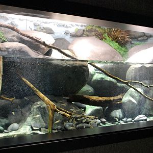 Restless Planet Exhibits