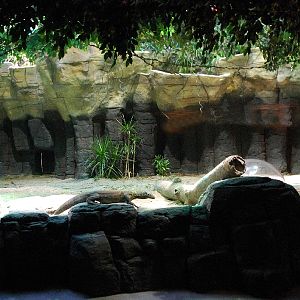 Restless Planet Exhibits