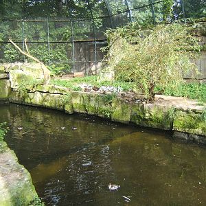 View in Wader Beach Aviary