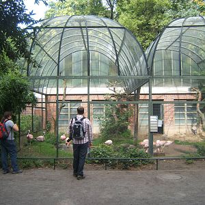 View of Andean and James Flamingo Aviary