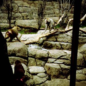 Exhibits of Prospect Park close to opening