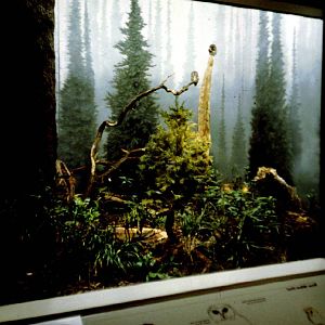 Exhibits of Prospect Park close to opening