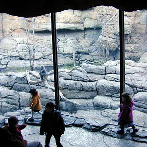 Exhibits of Prospect Park close to opening