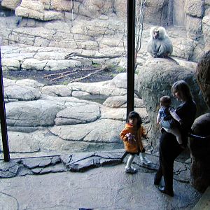 Exhibits of Prospect Park close to opening