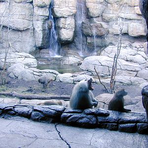 Exhibits of Prospect Park close to opening