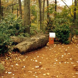Exhibits of Prospect Park close to opening