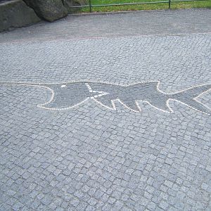 View of a paddlefish in the path