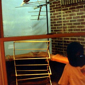 Exhibits of Prospect Park close to opening