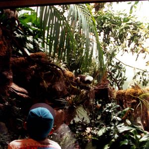 Exhibits of Prospect Park close to opening