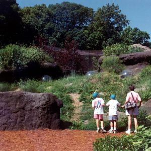 Exhibits of Prospect Park close to opening