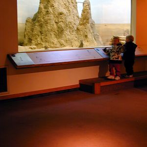 Exhibits of Prospect Park close to opening