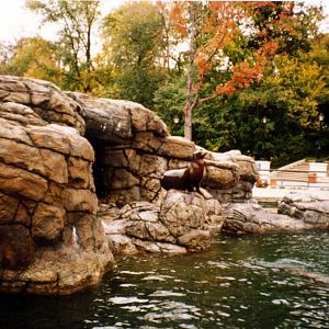 Exhibits of Prospect Park close to opening