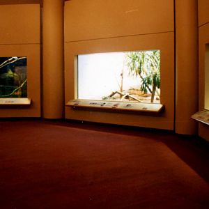 Exhibits of Prospect Park close to opening