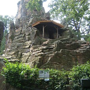View of Siberian Ibex enclosure