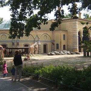 View of Giraffe House and paddocks