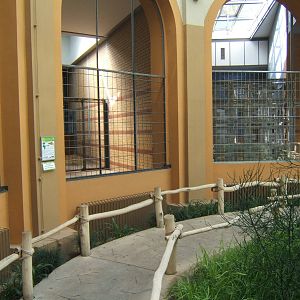 View inside Giraffe House