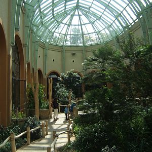 View inside Giraffe House