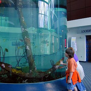 Exhibits of the Aquarium in Gatlinbury